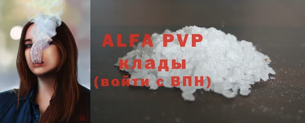 apvp Бородино